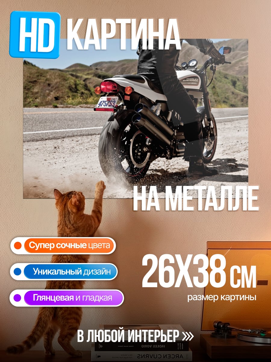 Картина на металле Мотоцикл на дороге