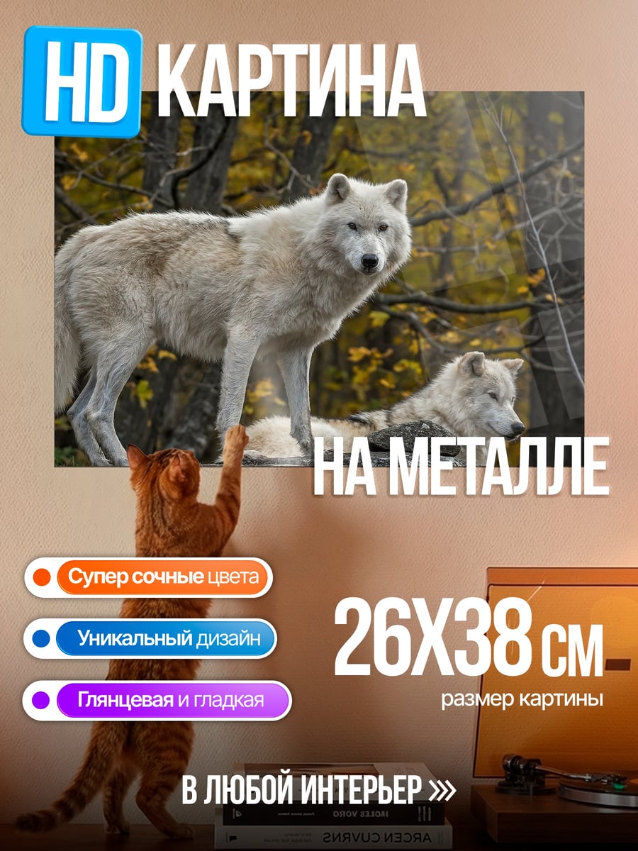 Картина на металле Белые волки
