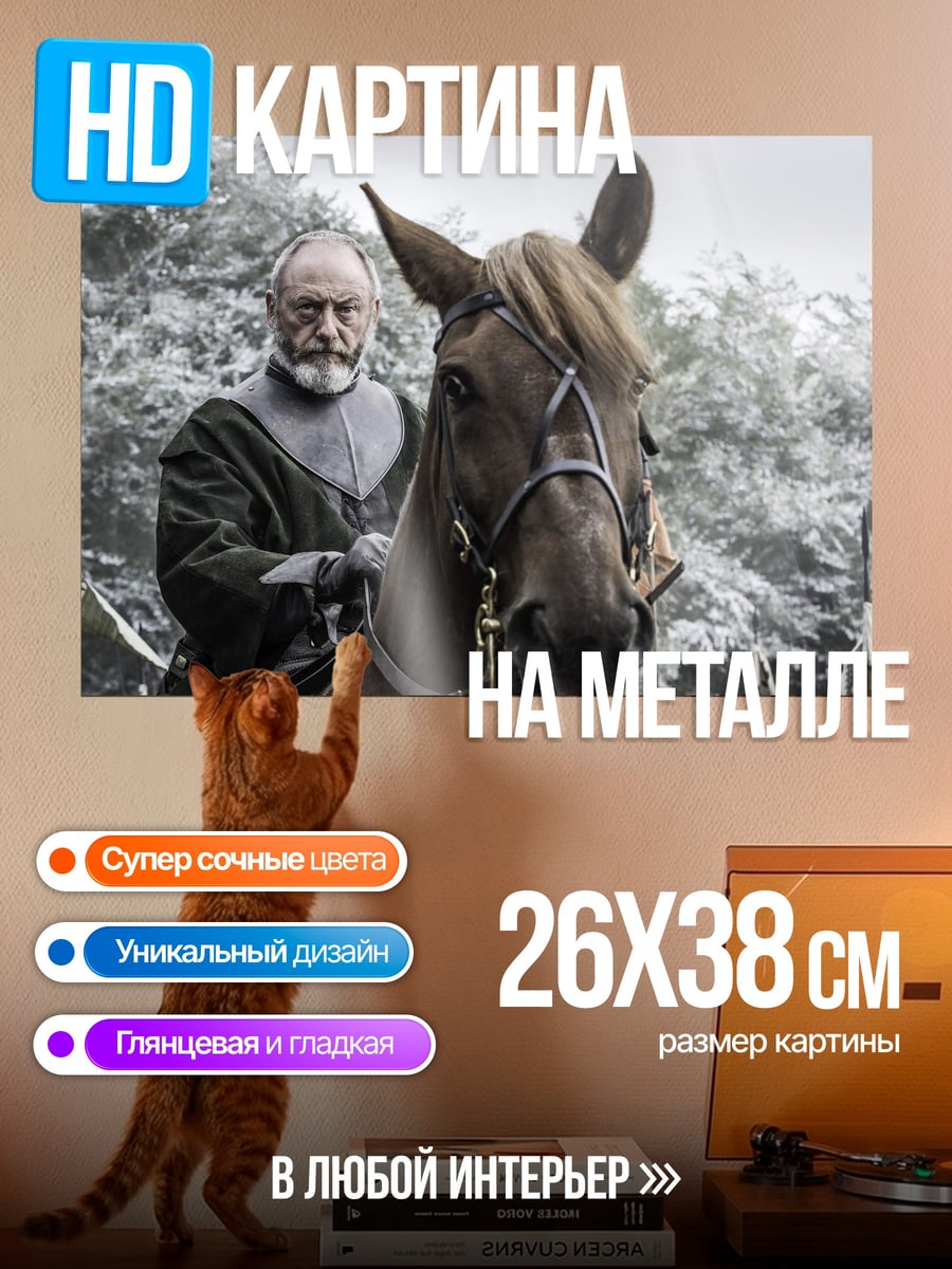 Картина на металле Старик на коне