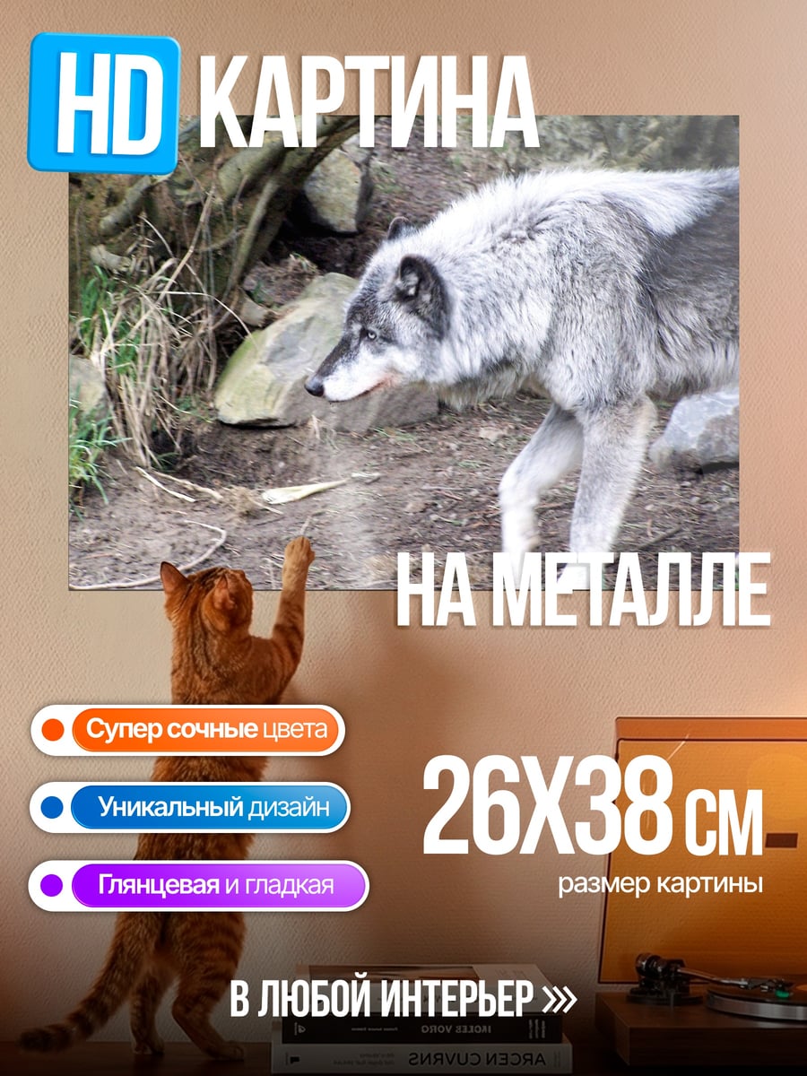 Картина на металле Серый волк