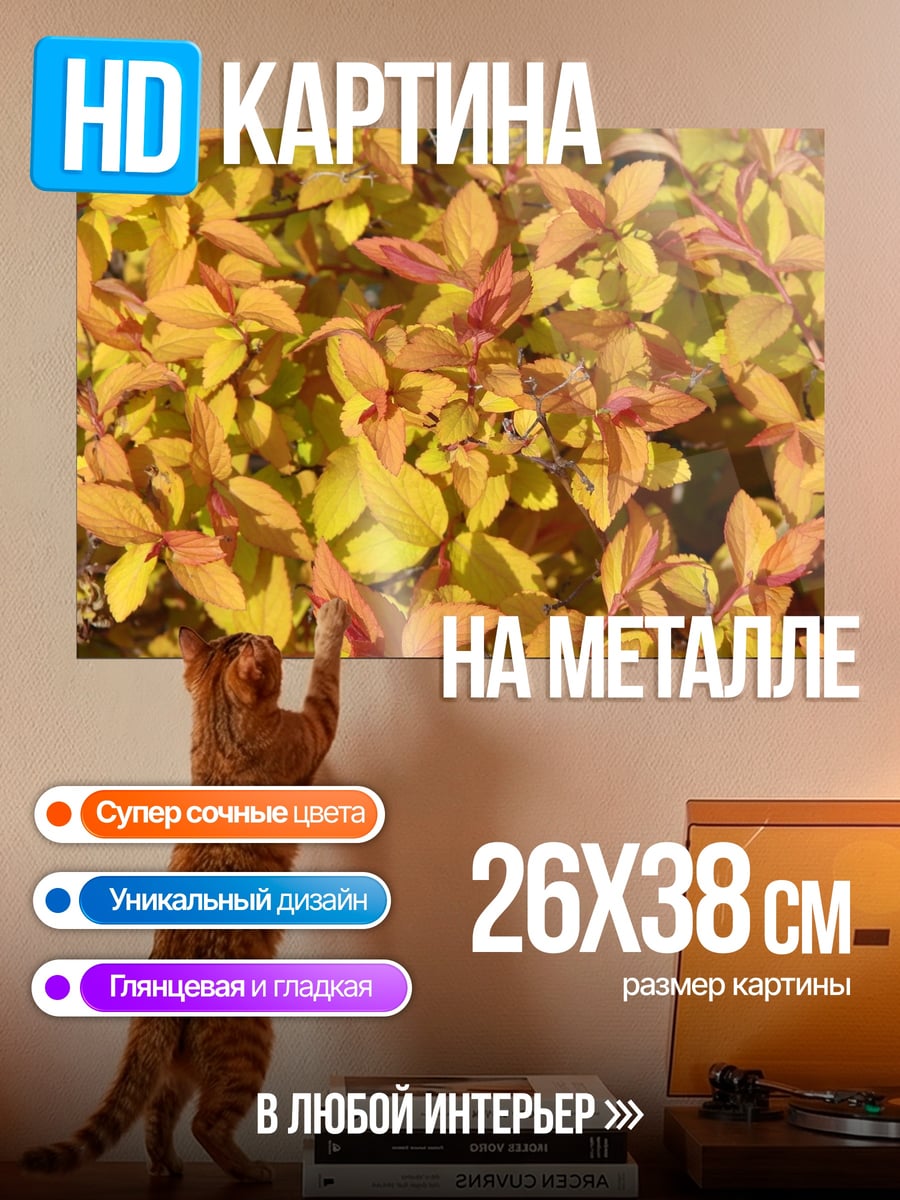 Картина на металле Золотая листва осенью