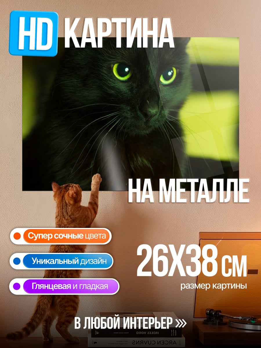 Картина на металле Черная кошка глаза