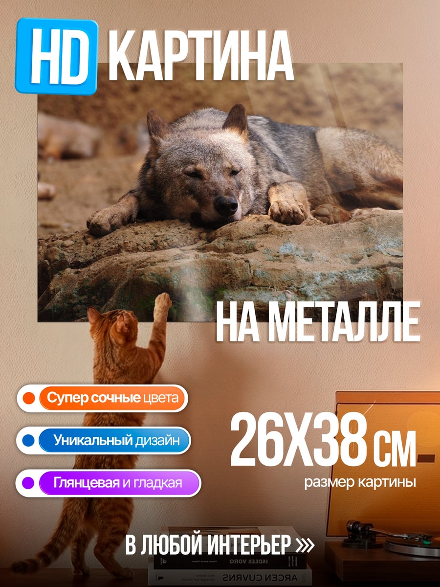 Картина на металле Лежащий волк