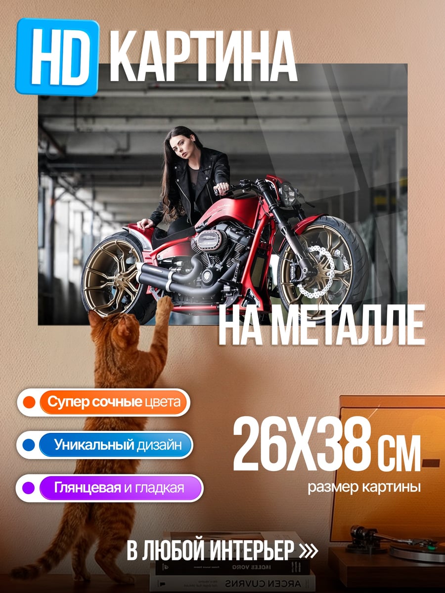 Картина на металле Девушка с мотоциклом