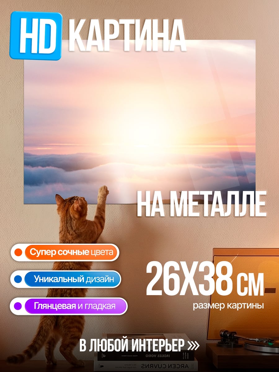 Картина на металле Человек на вершине