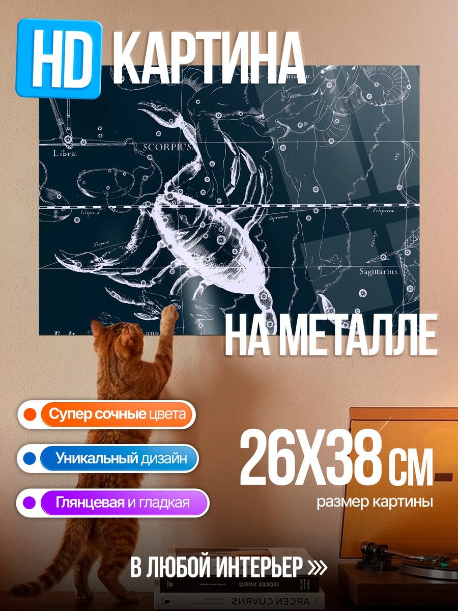 Картина на металле Звездный скорпион