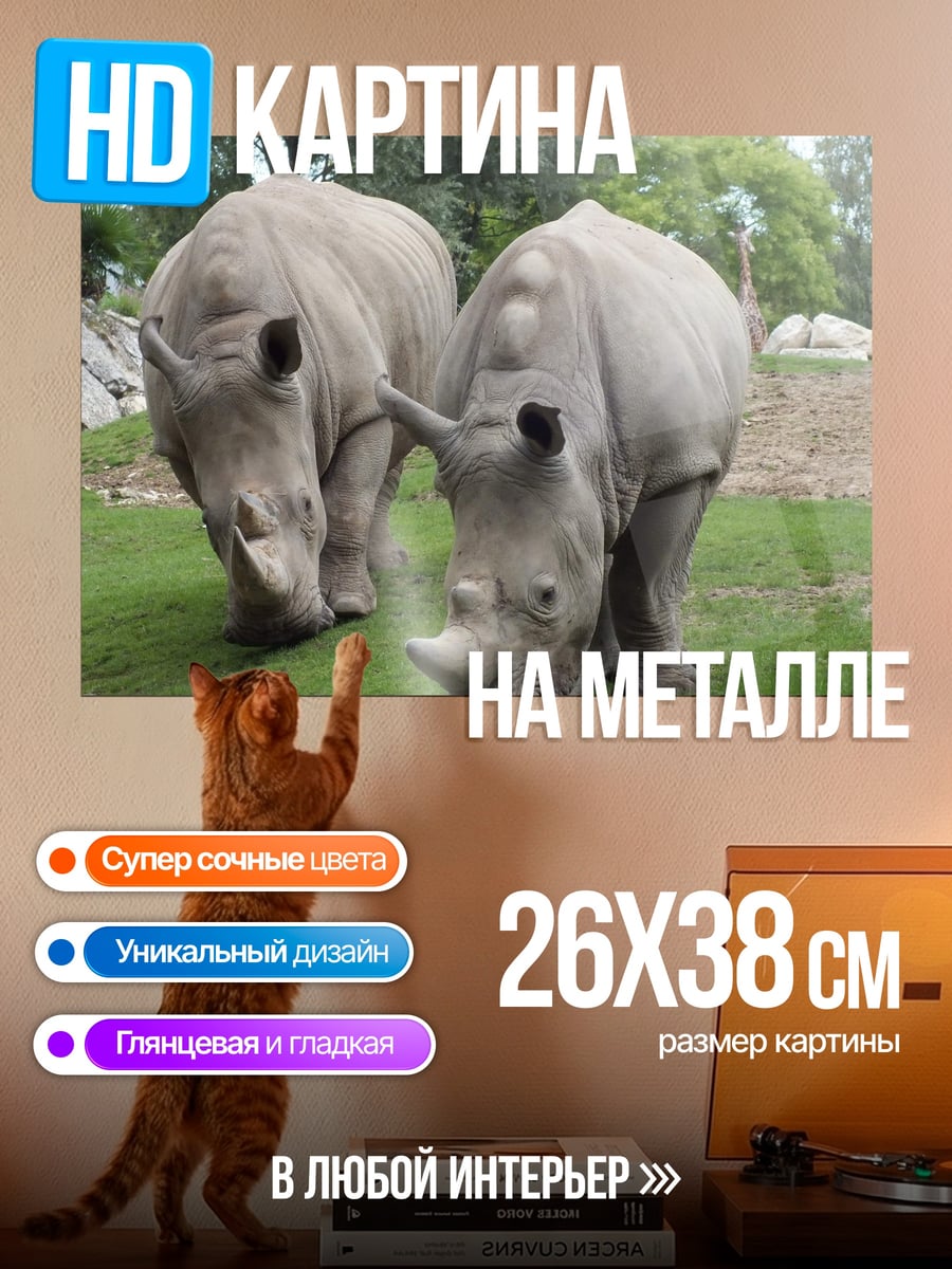 Картина на металле два носорога