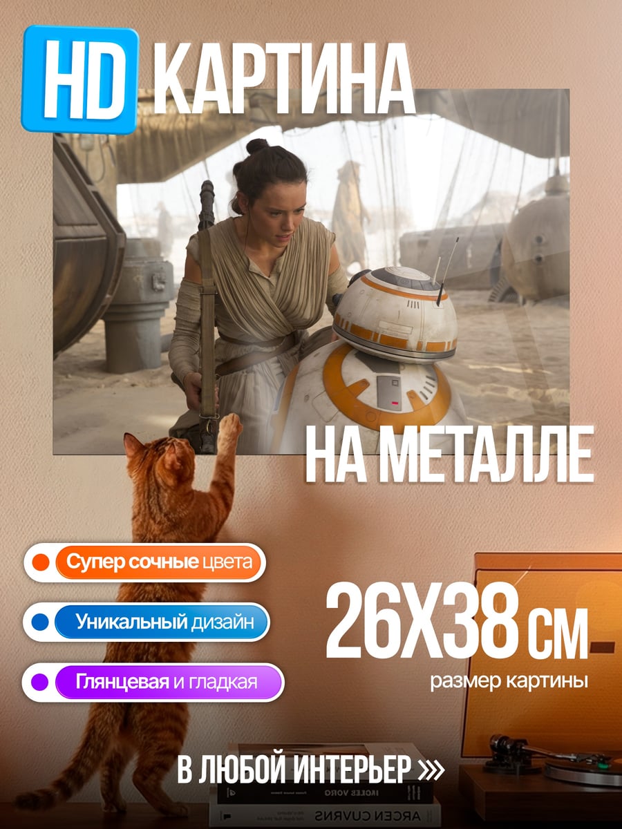 Картина на металле Рей и BB-8