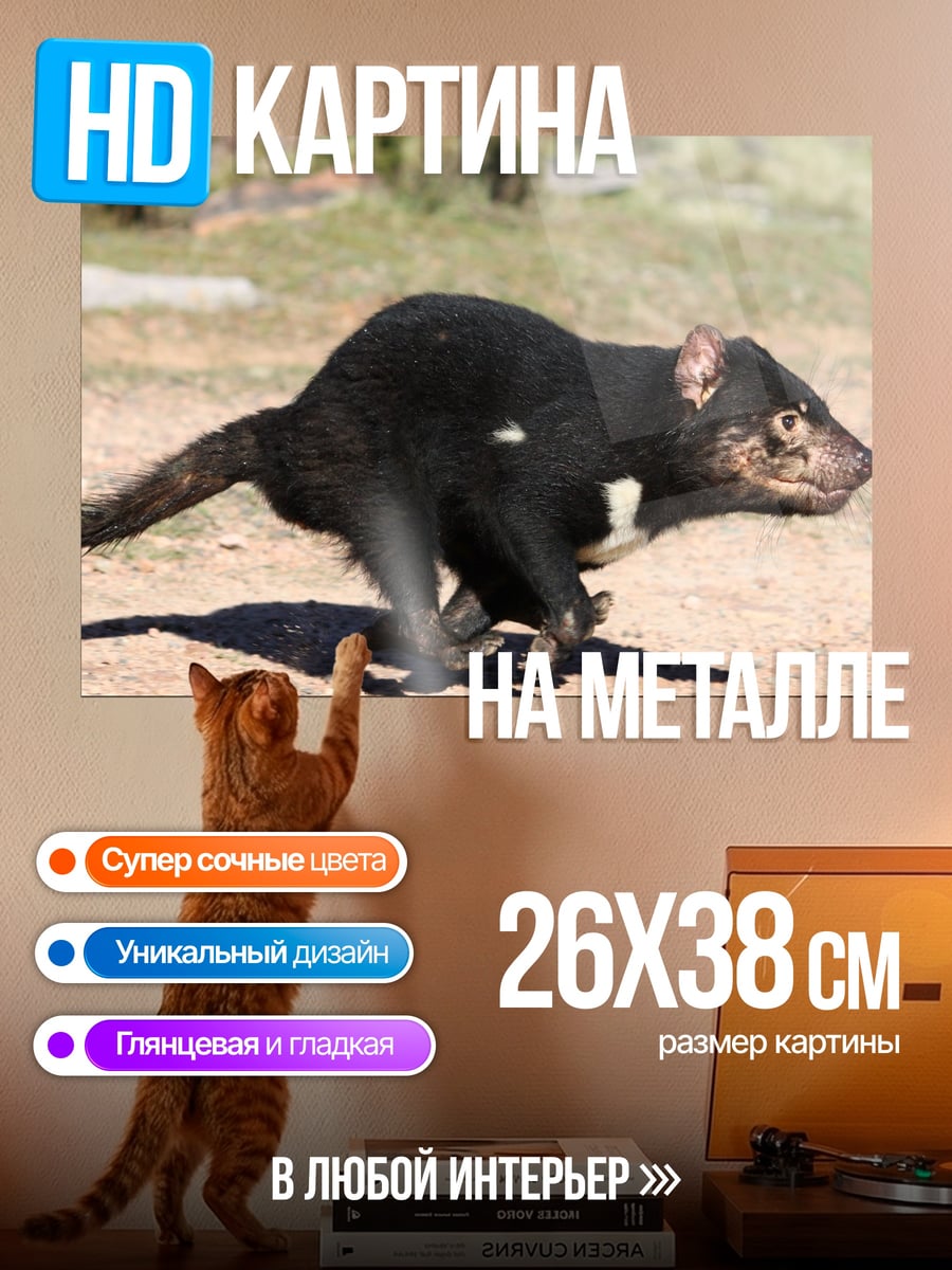 Картина на металле Тасманийский дьявол бежит