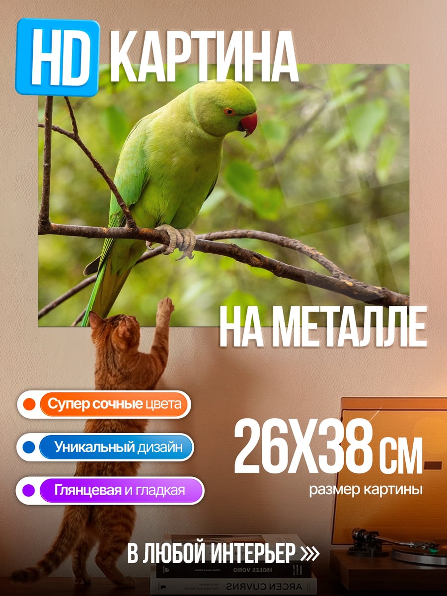 Картина на металле Зеленый попугай ветка