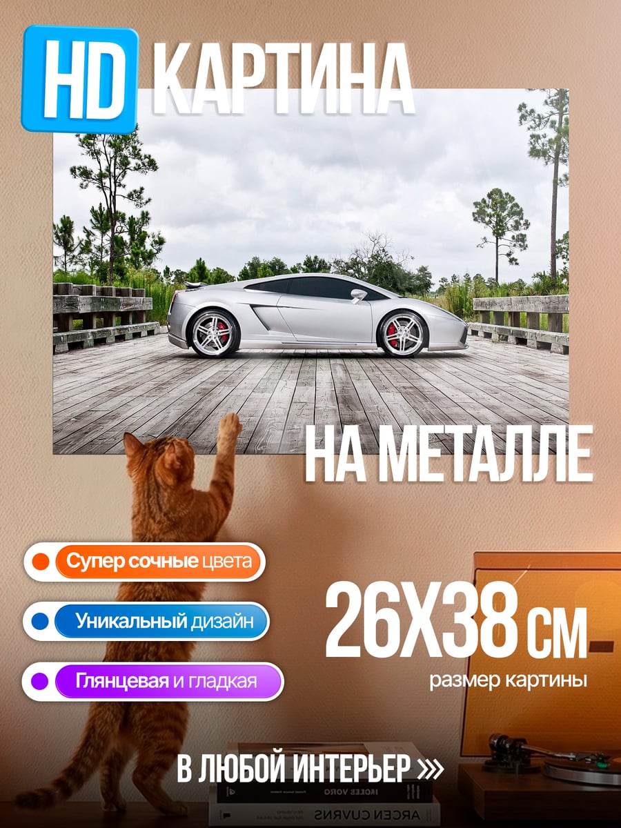 Картина на металле Серебристый Lamborghini мост