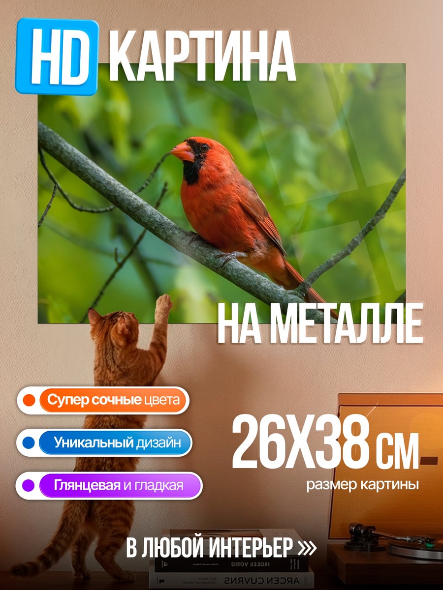 Картина на металле красный кардинал