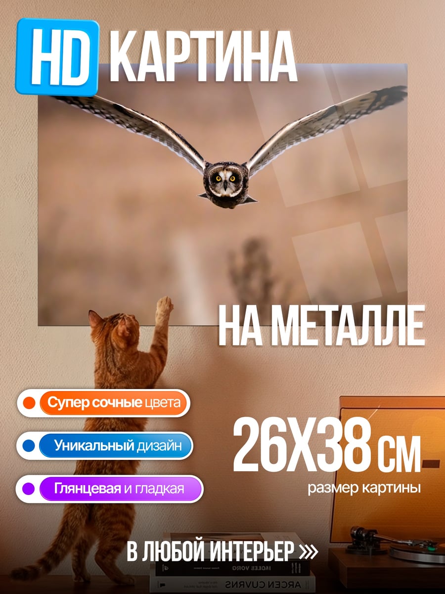 Картина на металле Летающая сова
