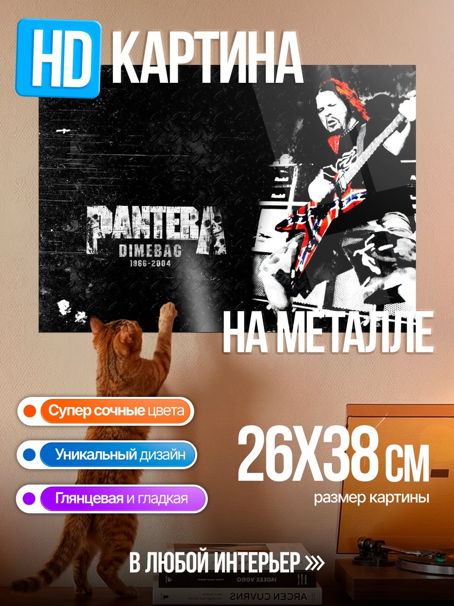 Картина на металле гитарист Pantera