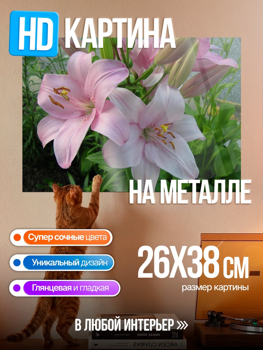 Картина на металле Розовые лилии в саду
