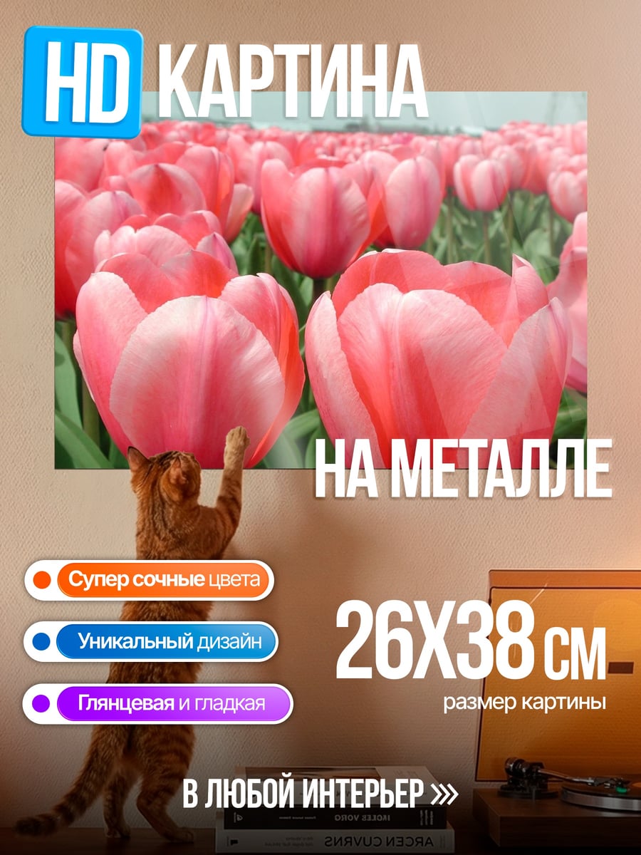 Картина на металле Поле розовых тюльпанов