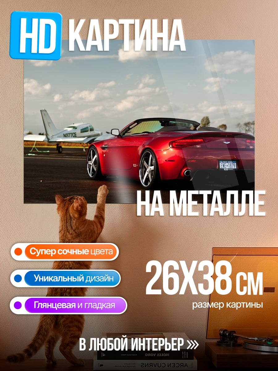 Картина на металле Скорость и стиль
