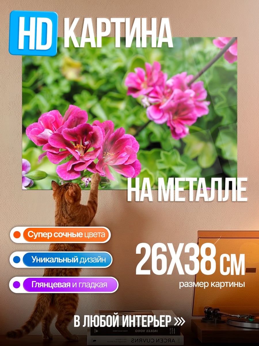 Картина на металле Розовые цветы герани