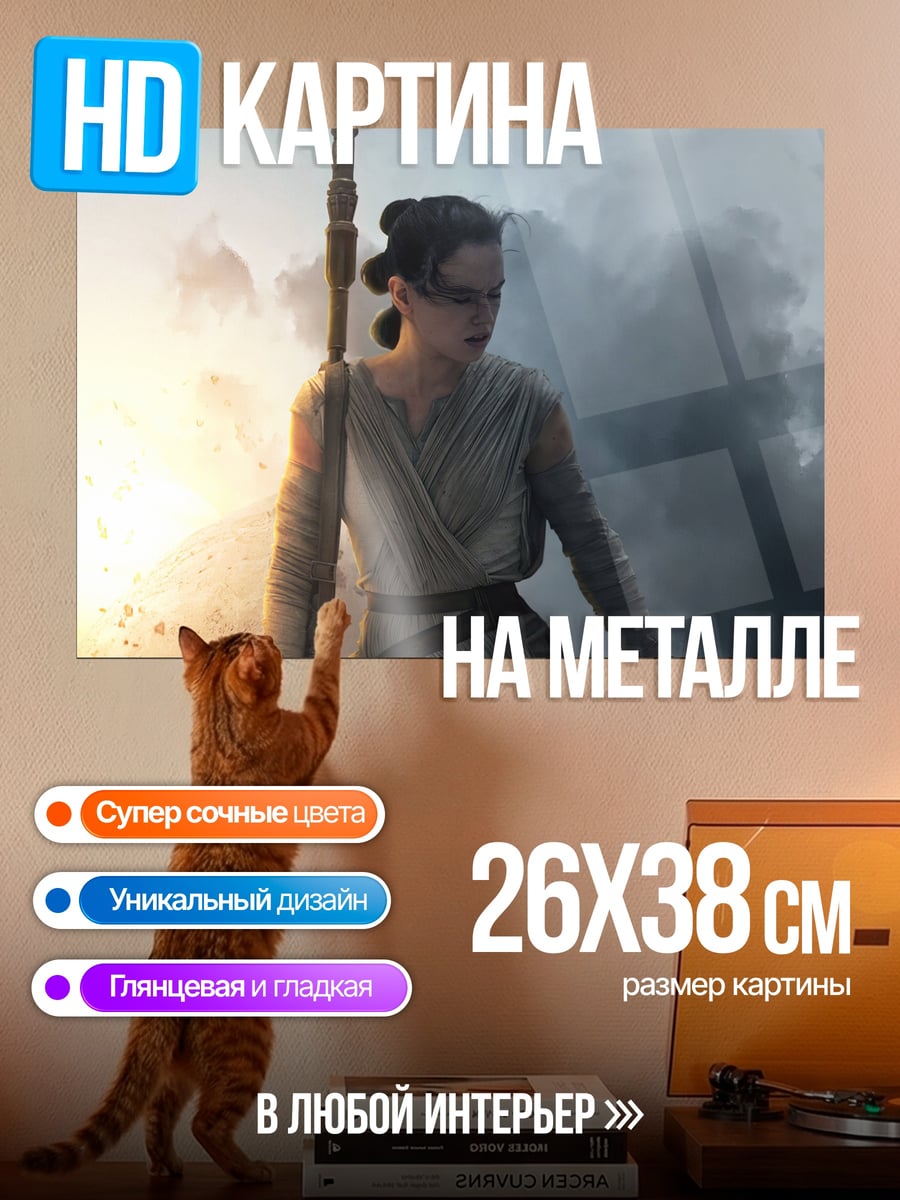 Картина на металле Рей Звёздные Войны