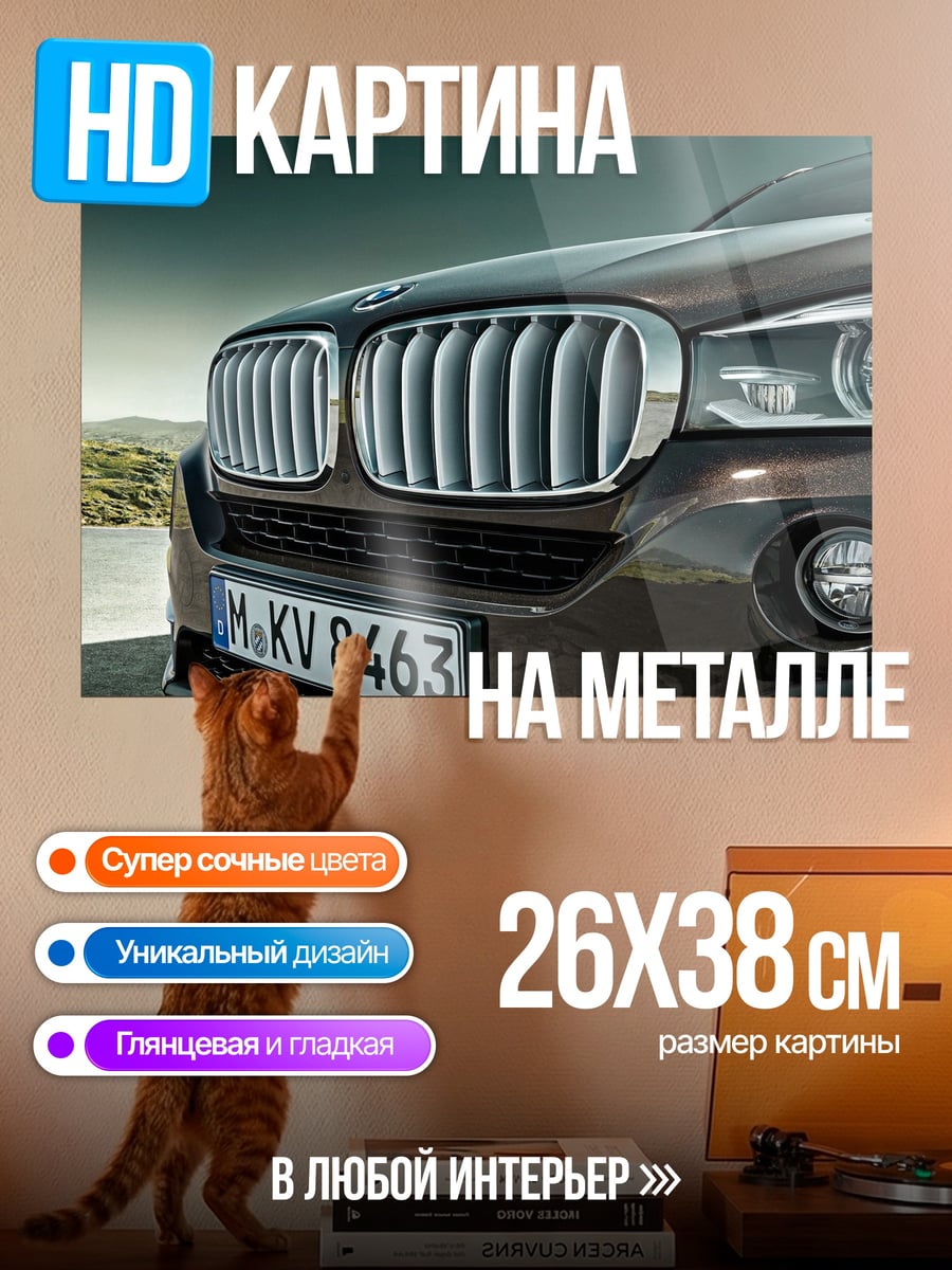 Картина на металле Брутальный BMW