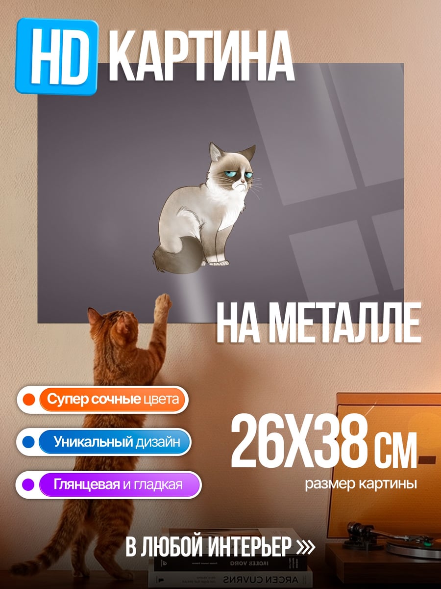 Картина на металле Сердитый кот