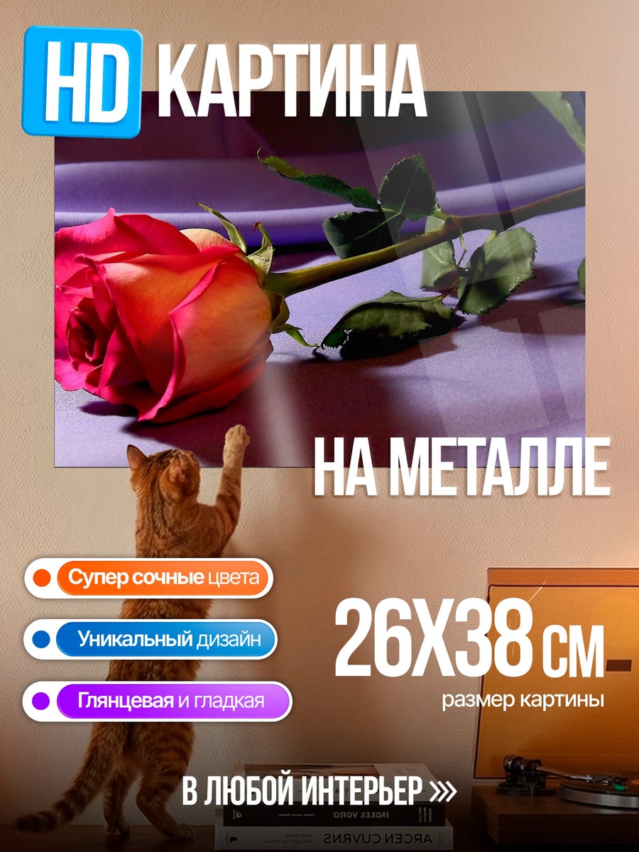 Картина на металле Красная роза