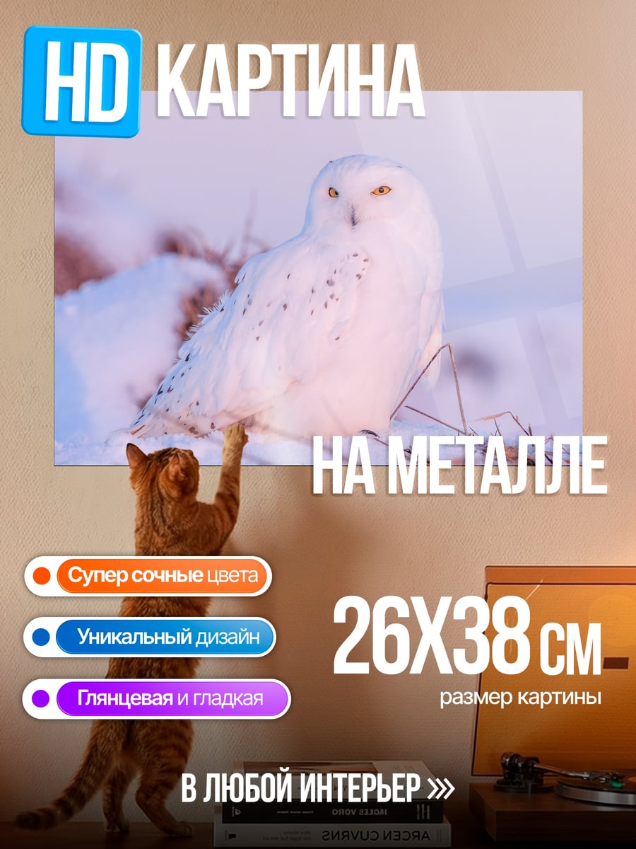 Картина на металле Белая сова