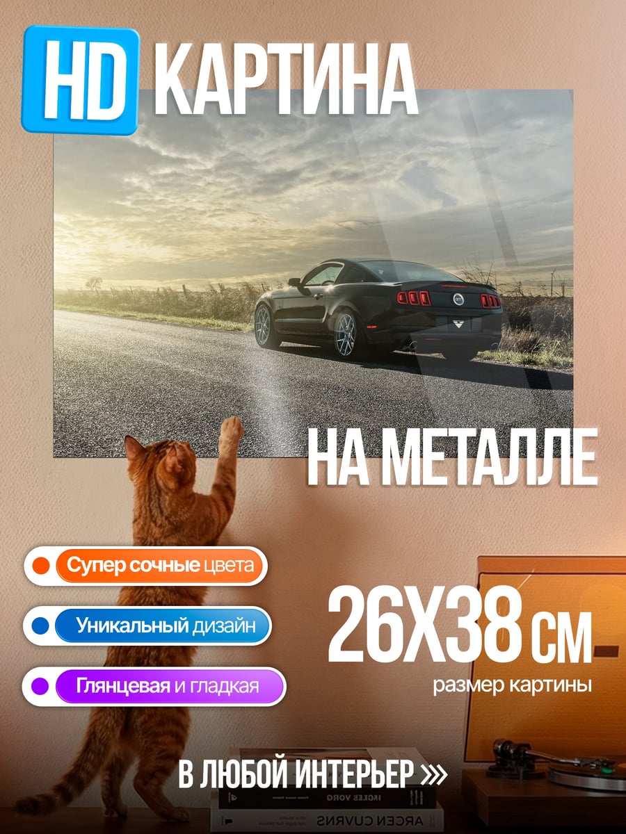 Картина на металле Черный мустанг на дороге
