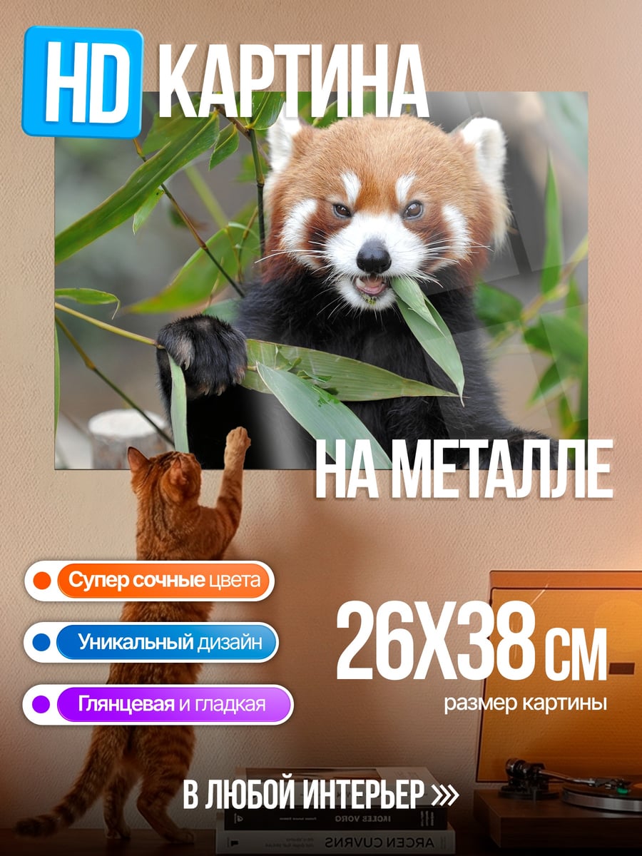 Картина на металле Красная панда ест