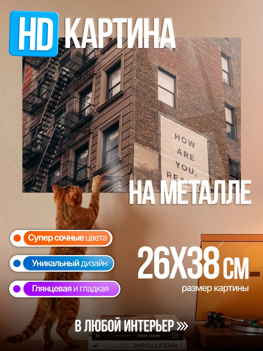 Картина на металле Вопрос на стене