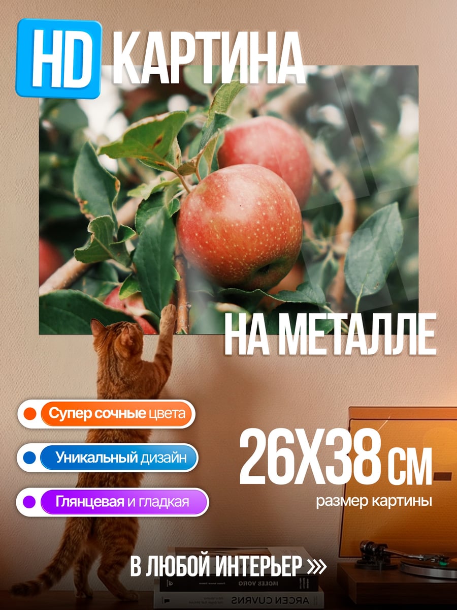 Картина на металле Яблоки на ветке