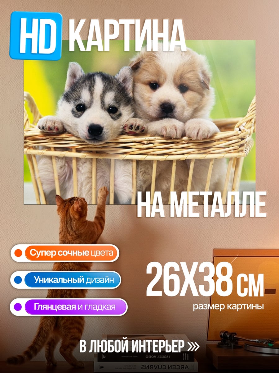 Картина на металле Два щенка