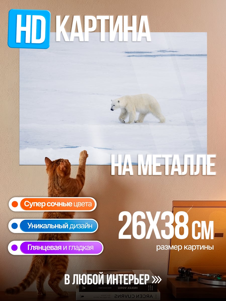 Картина на металле Белый медведь