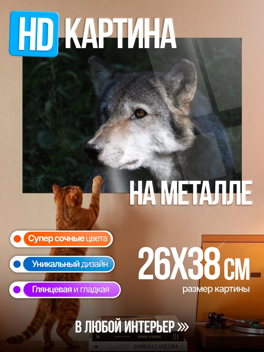 Картина на металле Портрет волка