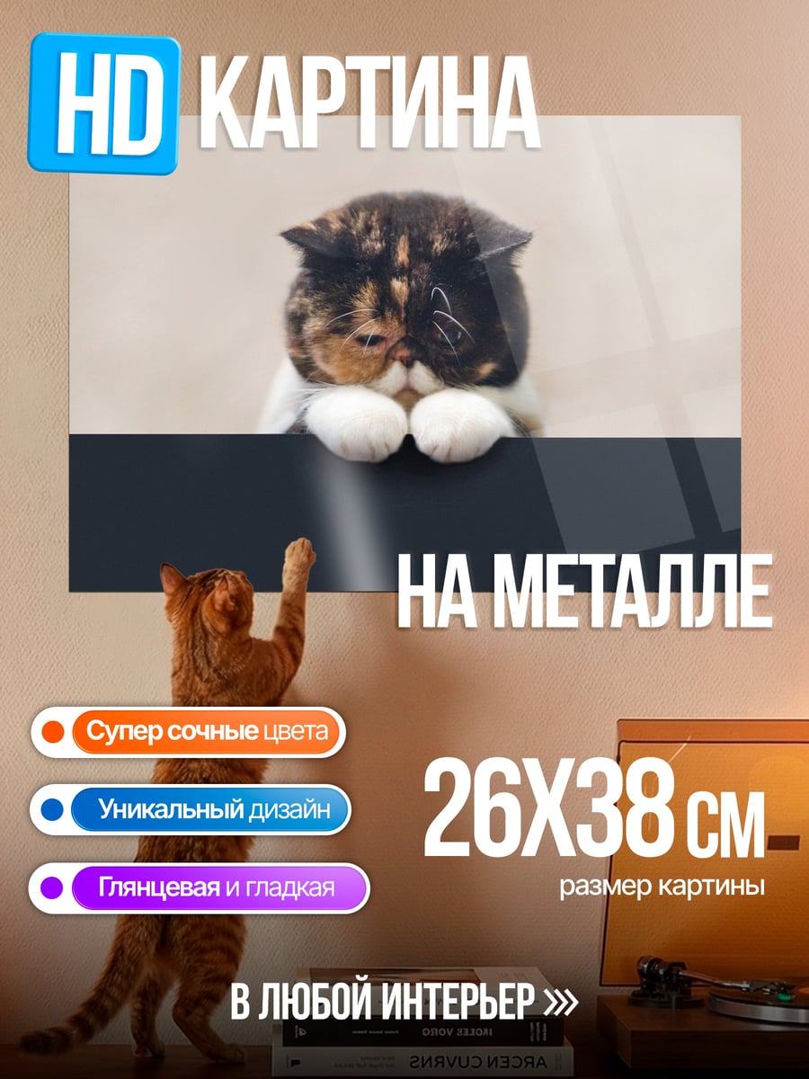 Картина на металле Грустный котенок
