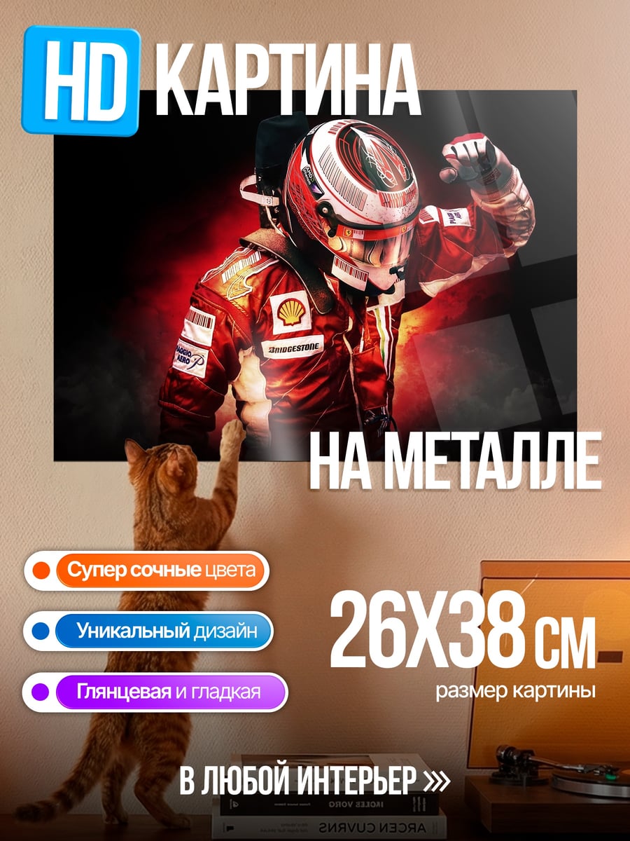 Картина на металле Гонщик Формулы 1