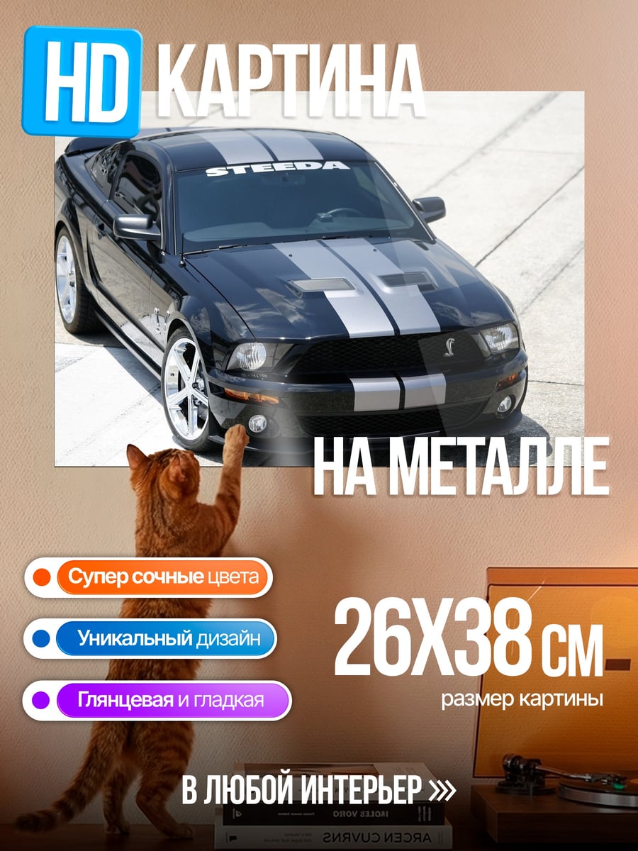 Картина на металле Черный маслкар