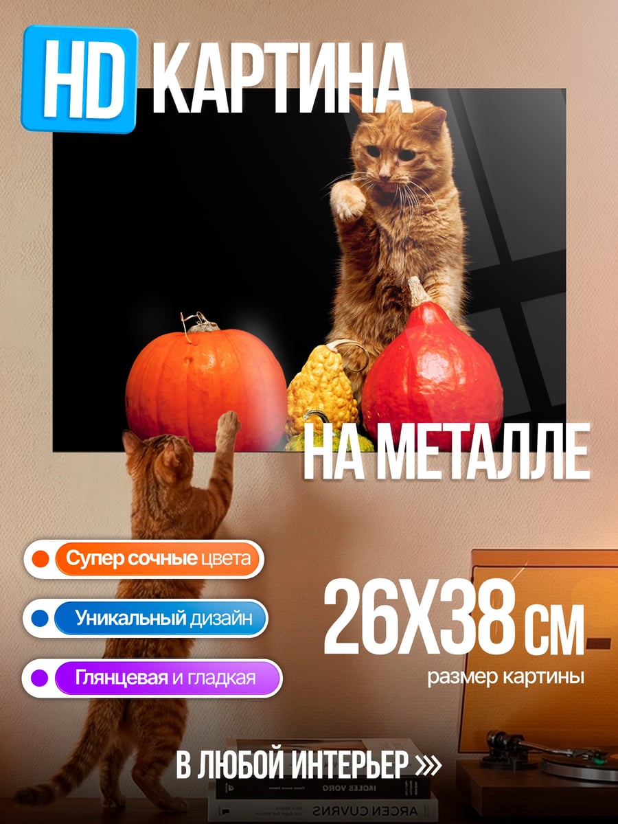 Картина на металле кот и тыквы