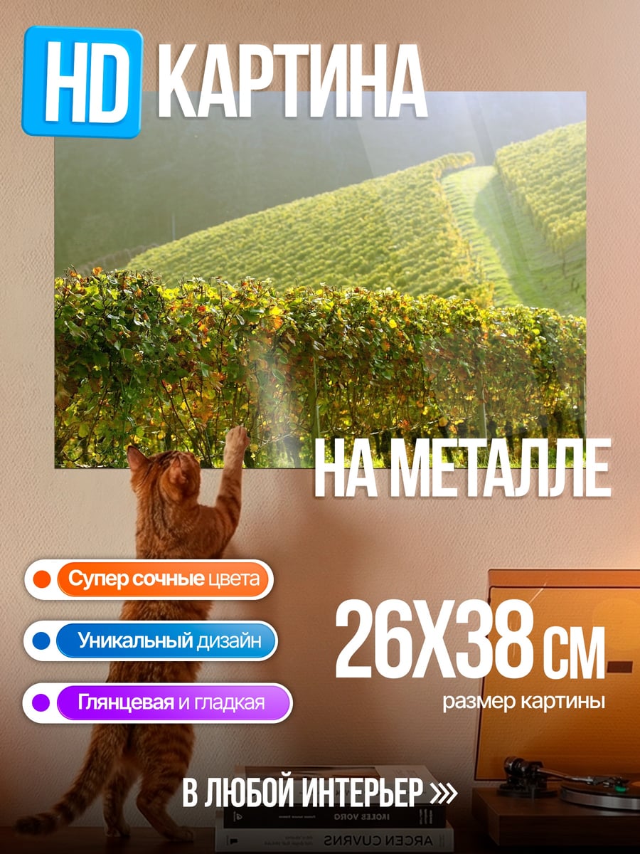 Картина на металле Виноградные холмы