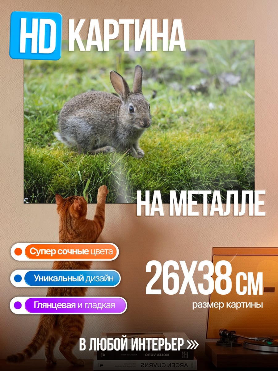 Картина на металле Кролик на траве