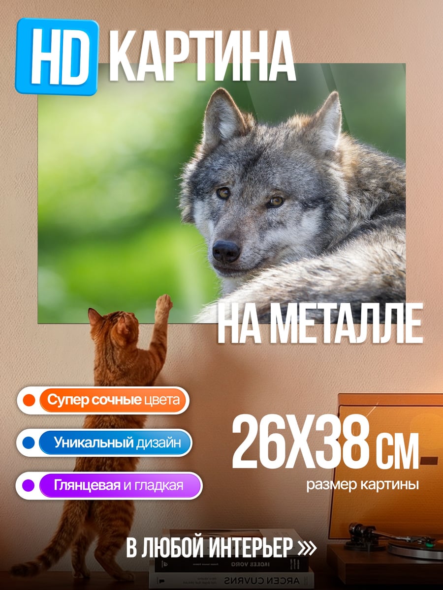 Картина на металле Портрет волка
