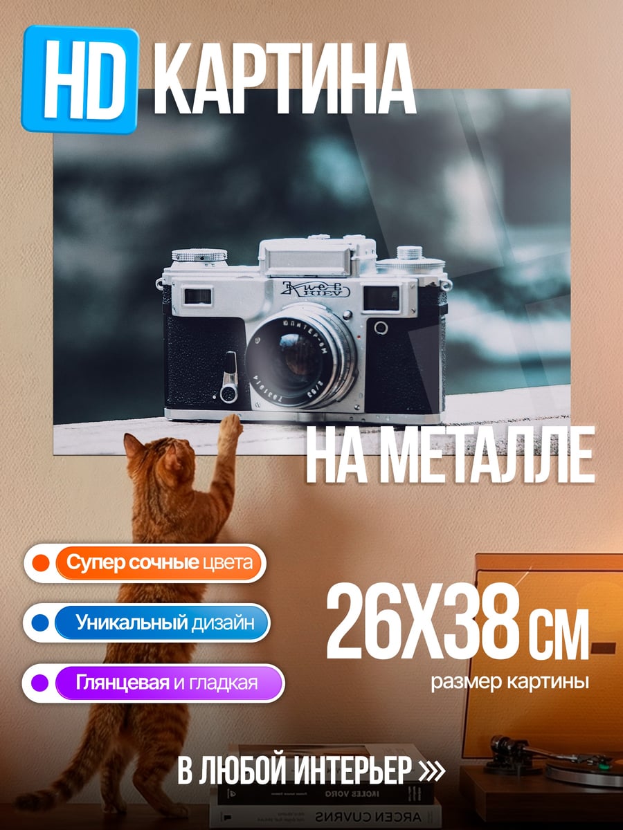 Картина на металле Старая камера