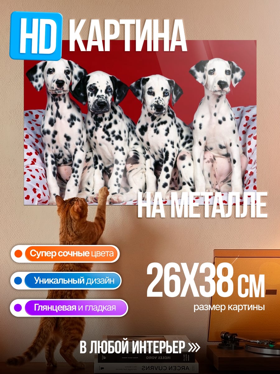 Картина на металле Четыре далматинца