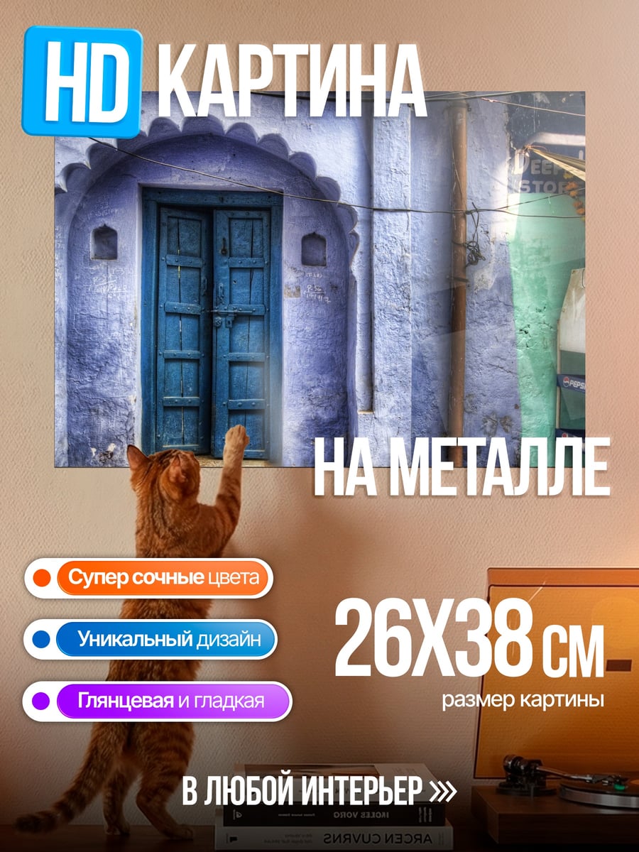 Картина на металле Синяя дверь Индии