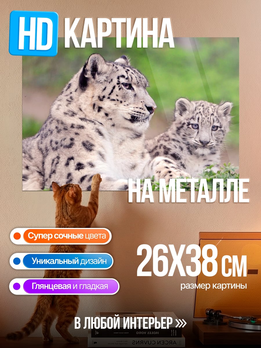 Картина на металле снежные барсы