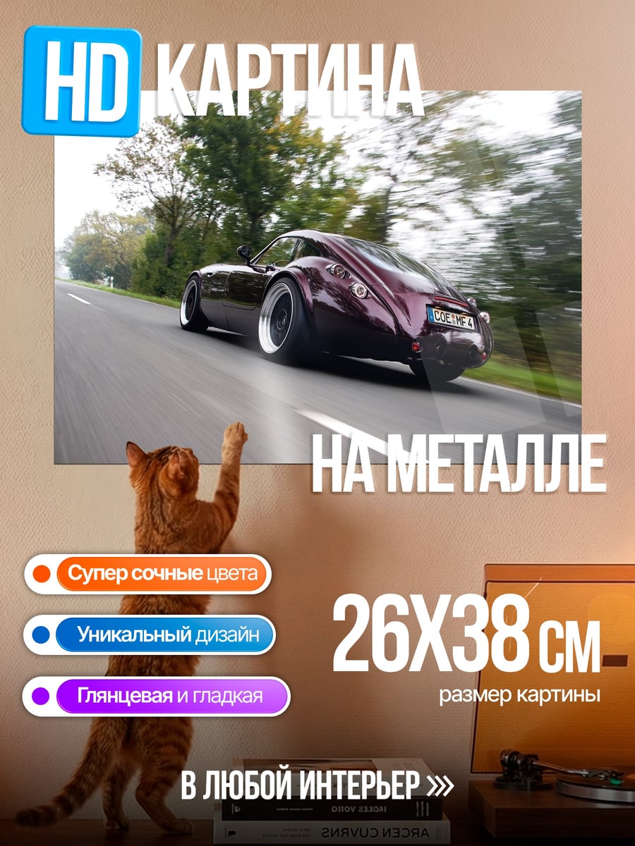 Картина на металле Спортивный автомобиль на дороге