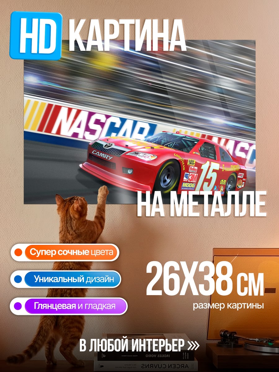 Картина на металле гоночная машина NASCAR