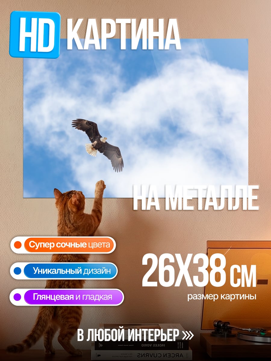 Картина на металле Орел в небе