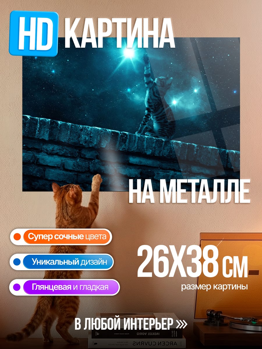 Картина на металле Кот на крыше