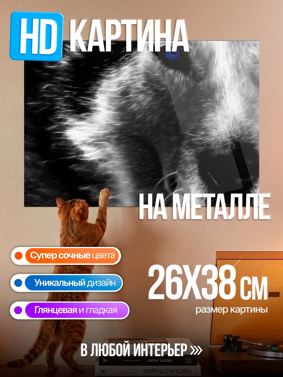 Картина на металле волк синие глаза